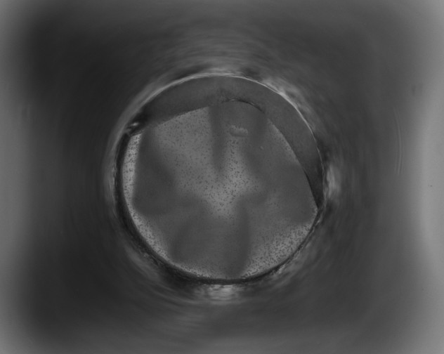 X0000087520152200705251646