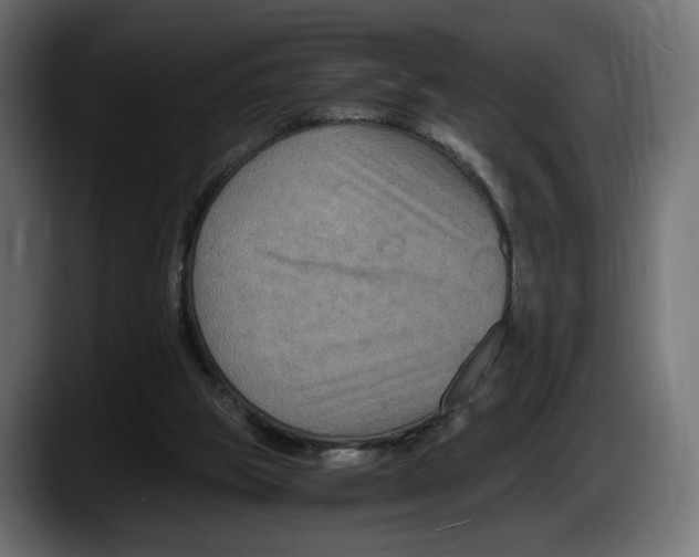 X0000087520153200705251646