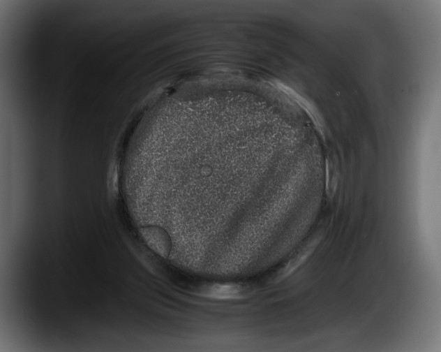 X0000087520157200705251646