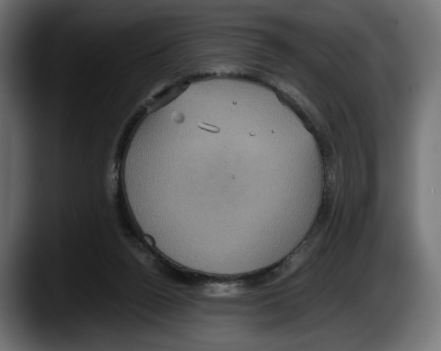 X0000087520160200705251646