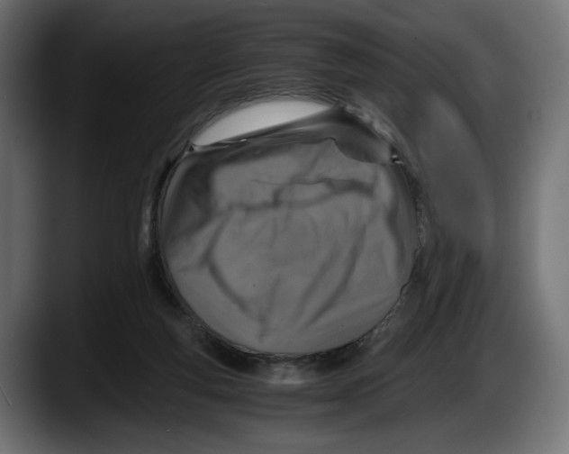 X0000087520163200705251646