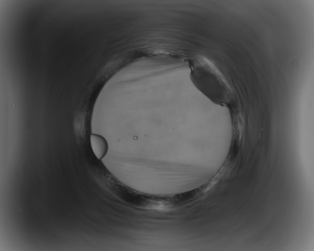 X0000087520167200705251646