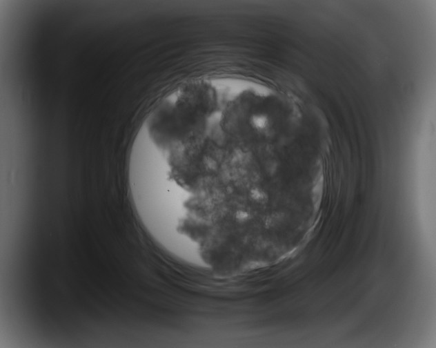 X0000087520175200705251646