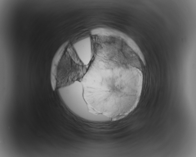 X0000087520177200705251646