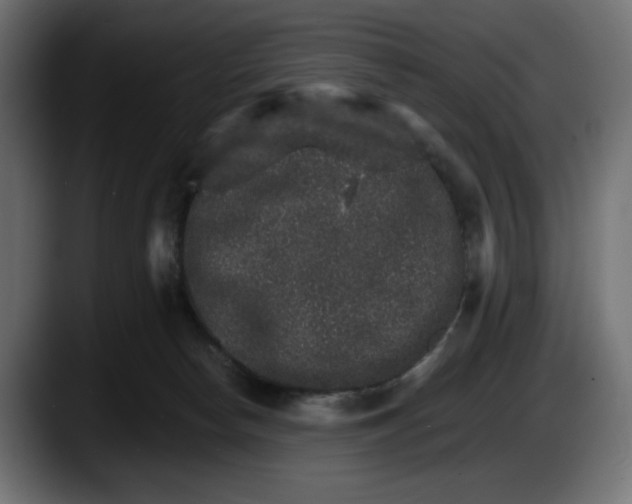 X0000087520178200705251646