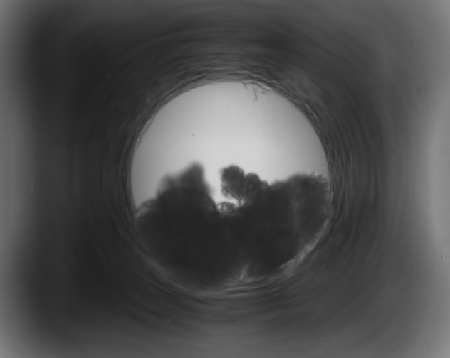 X0000087520179200705251646