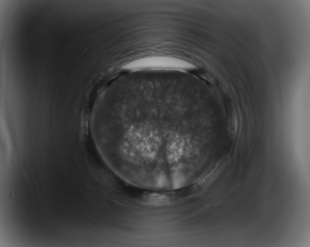 X0000087520180200705251646