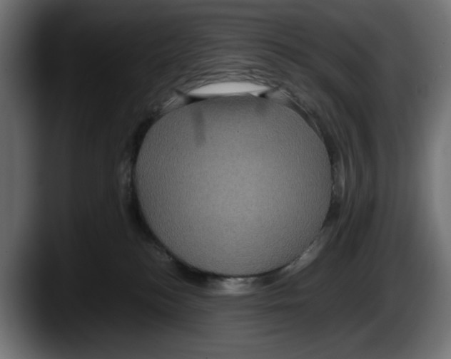 X0000087520184200705251646