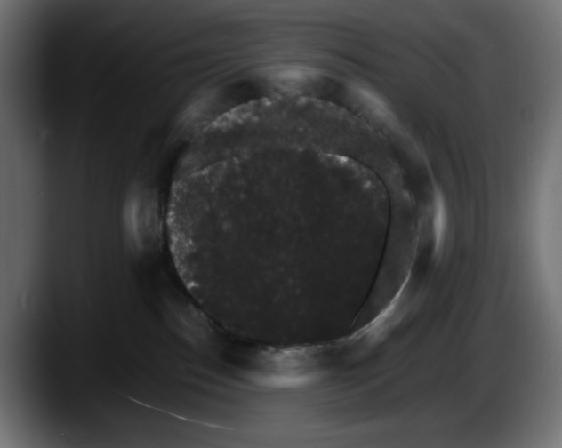 X0000087520186200705251647