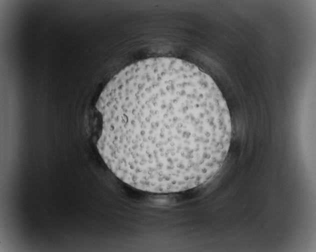 X0000087520187200705251647