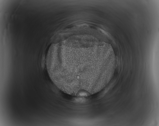 X0000087520189200705251647