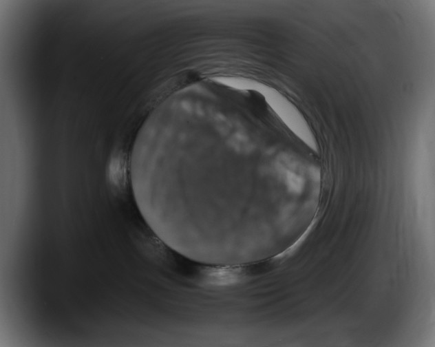 X0000087520191200705251647