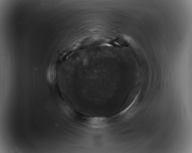 X0000087520192200705251647