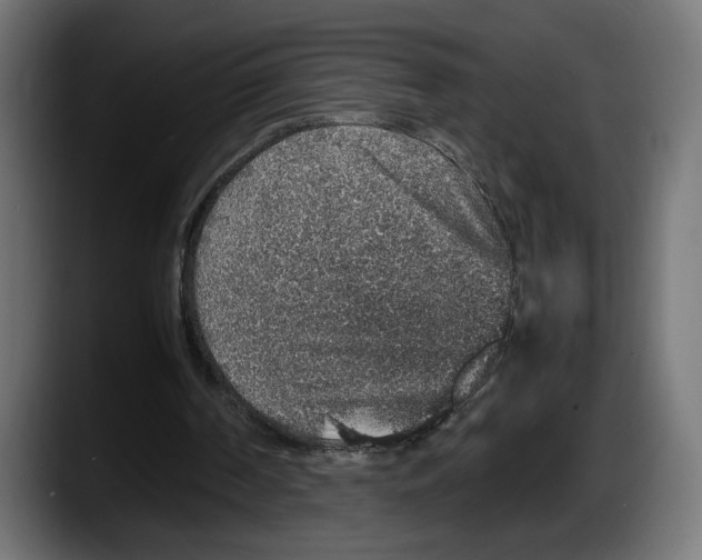 X0000087520194200705251646