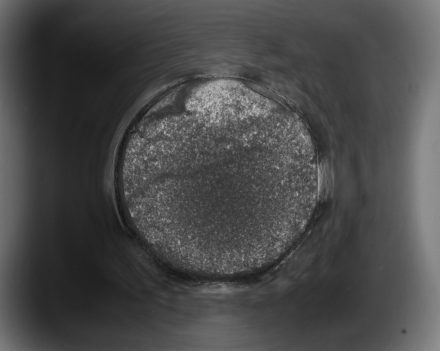 X0000087520195200705251646