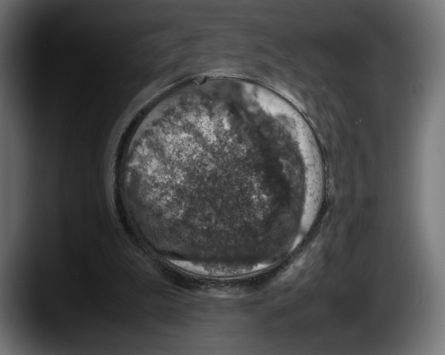 X0000087520199200705251646