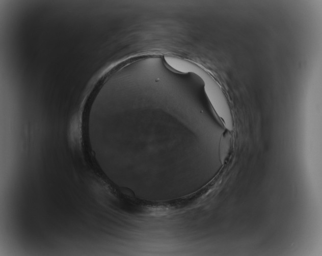 X0000087520200200705251646