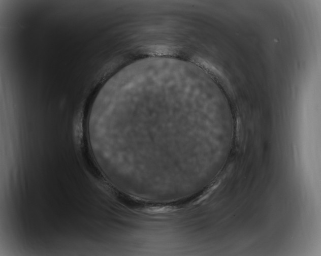 X0000087520202200705251646