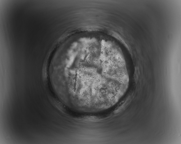 X0000087520203200705251646