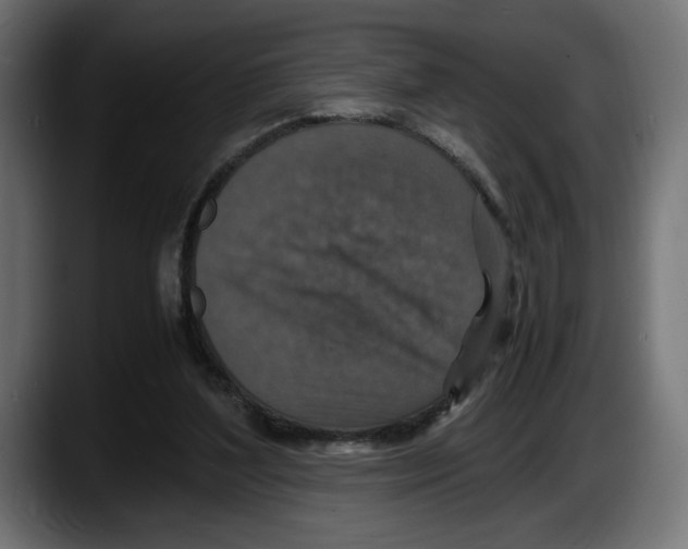 X0000087520204200705251646