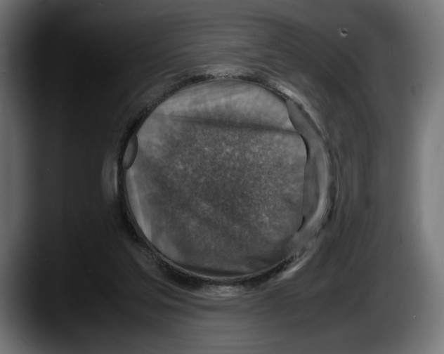 X0000087520205200705251646