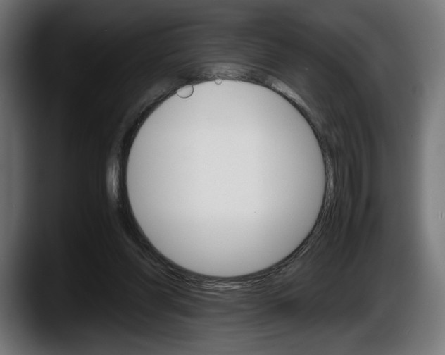 X0000087520206200705251646