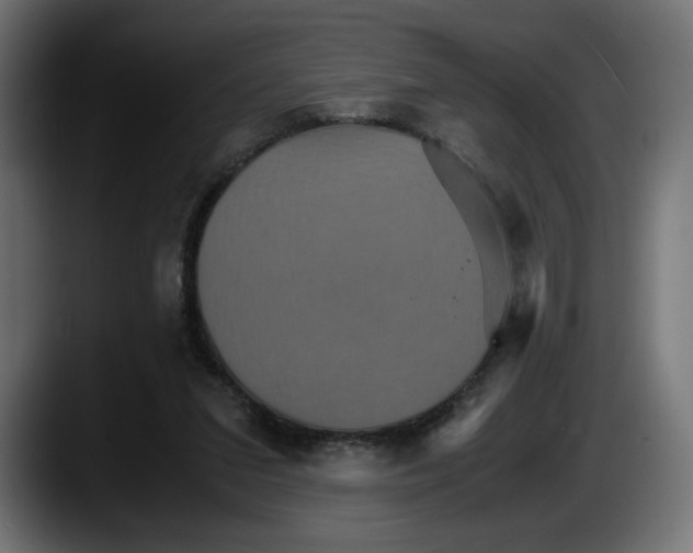 X0000087520207200705251646