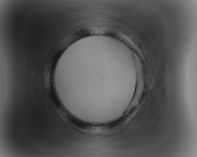 X0000087520209200705251646