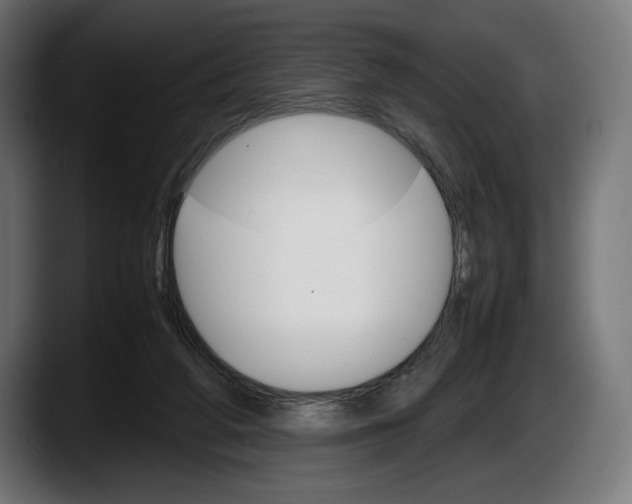 X0000087520210200705251646