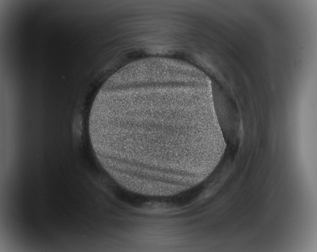 X0000087520211200705251646