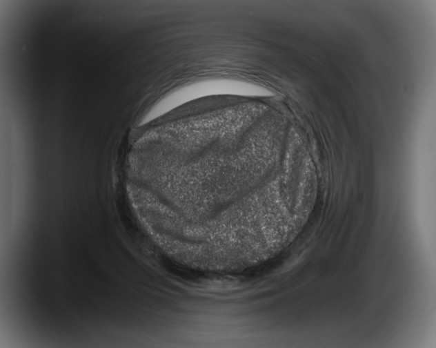 X0000087520215200705251646