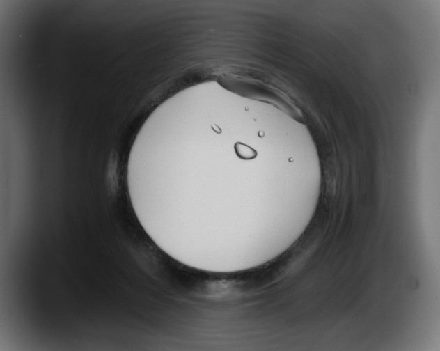 X0000087520216200705251646