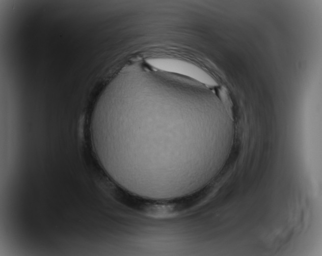 X0000087520217200705251646