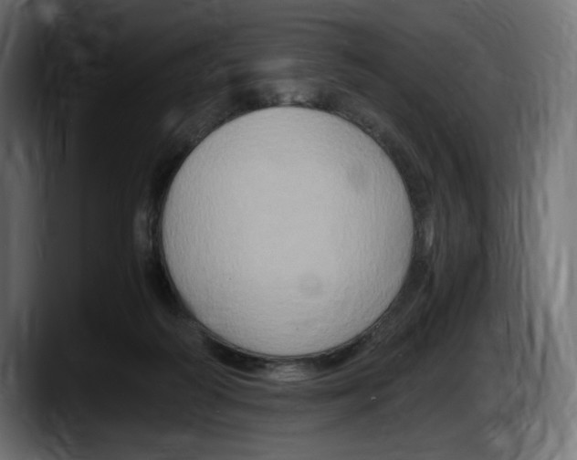 X0000087520218200705251646