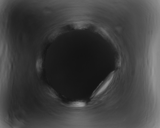 X0000087520219200705251646