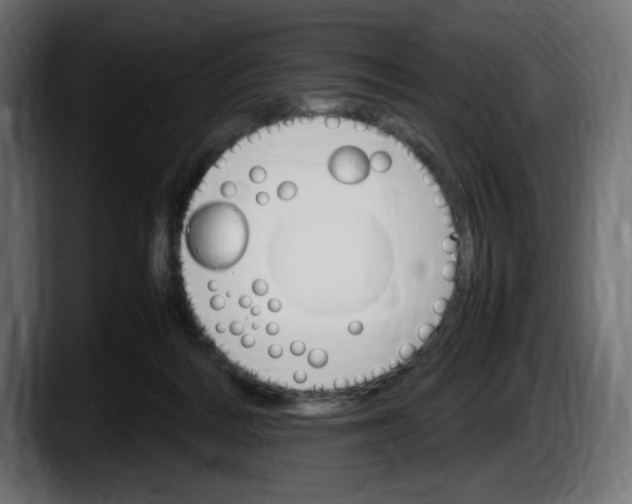 X0000087520220200705251646