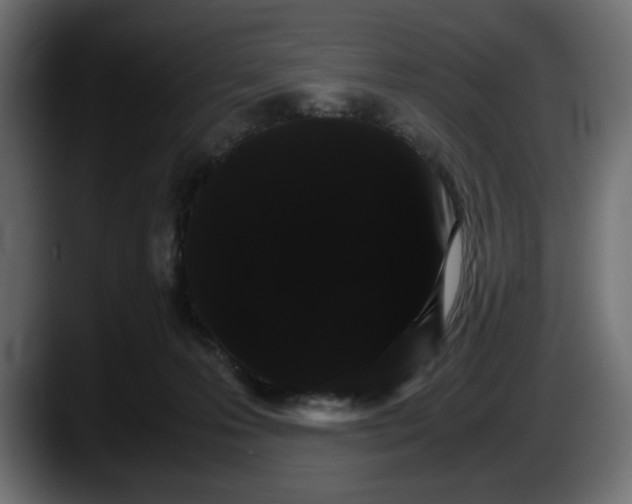 X0000087520223200705251646