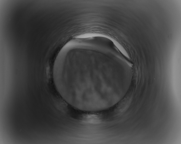 X0000087520224200705251646