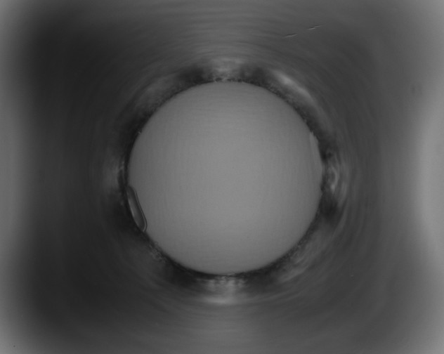 X0000087520225200705251646