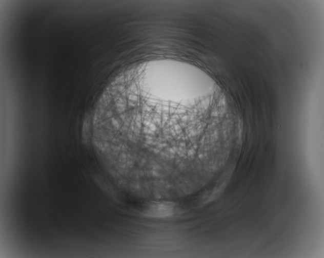 X0000087520226200705251646