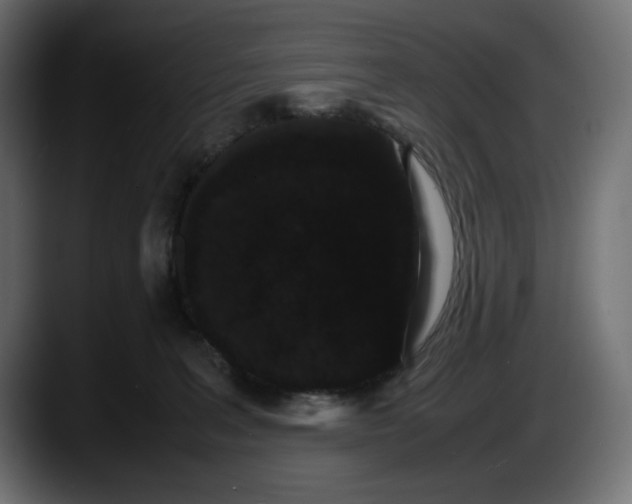 X0000087520227200705251646