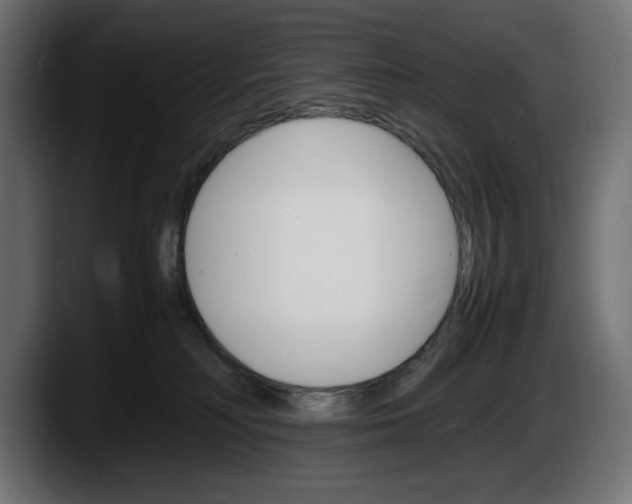 X0000087520230200705251645