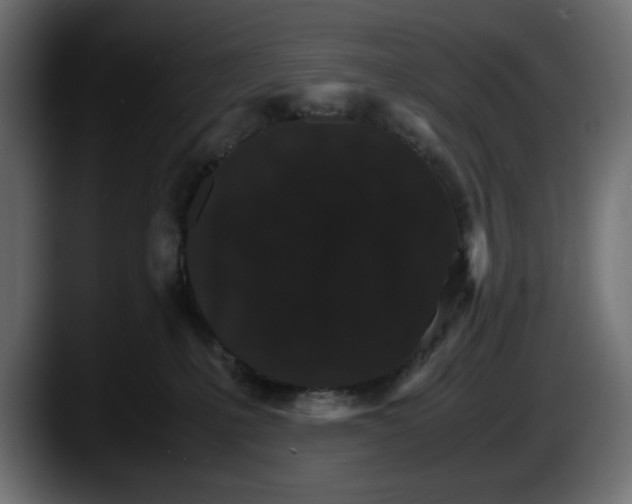 X0000087520231200705251645