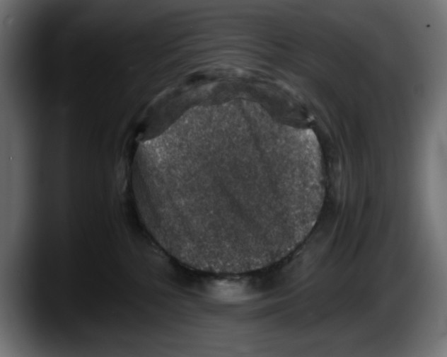 X0000087520232200705251645