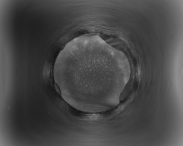 X0000087520233200705251645