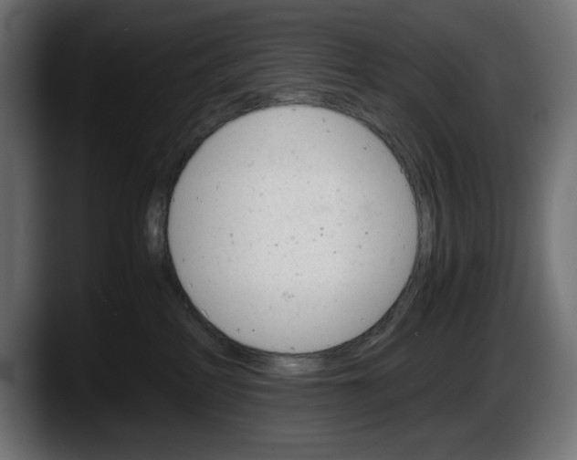 X0000087520234200705251645