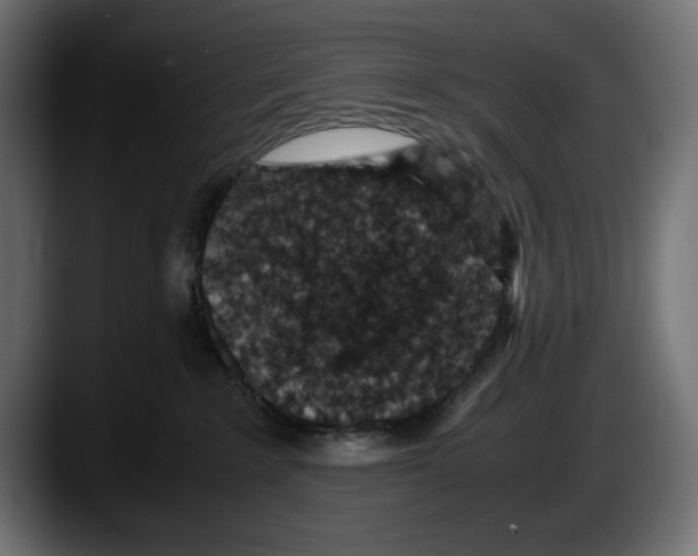 X0000087520235200705251645