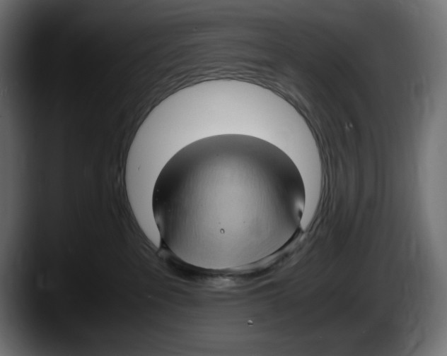 X0000087520237200705251645