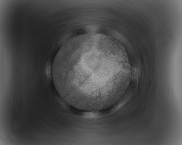 X0000087520238200705251645