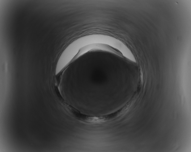 X0000087520239200705251645